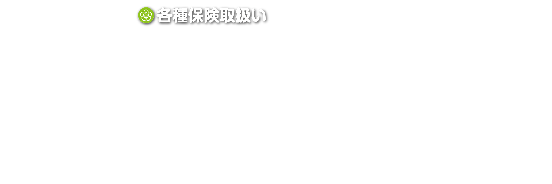 各種保険取扱い